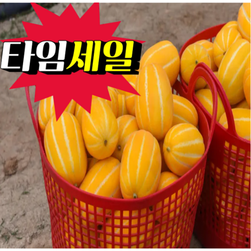 <품담> 특별할인!! 아삭하고 달콤함이 가득한 성주 참외