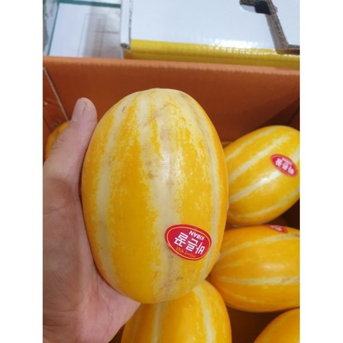 산지직송 당도선별 참외 성주참외 5kg 실중량