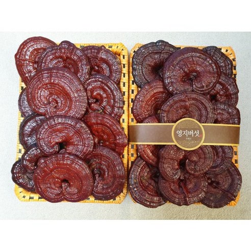 채울농산 국산100% 영지버섯 (고급특품-선물용) 1kg