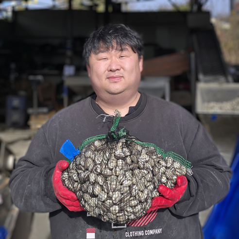 싱싱한 당일 채취 제철 벌교 새꼬막, 1개, 꼬막 1kg(특대)