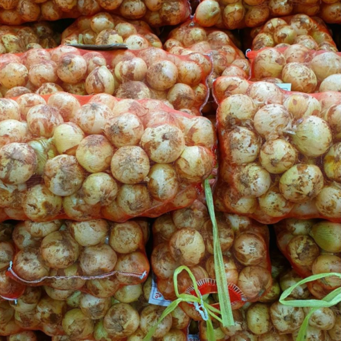 청원농산 햇양파 10kg, 20kg