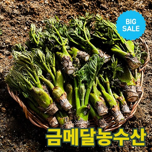 금메달농수산 프리미엄 국내산 참두릅