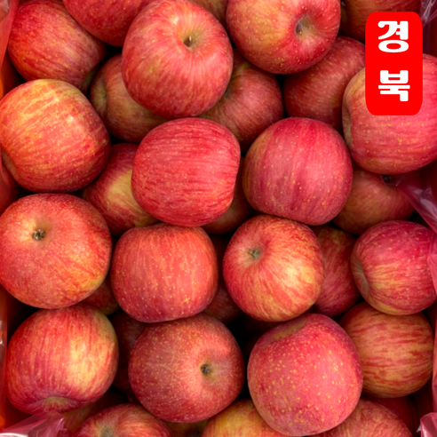[타임특가] 오씨농장 고당도 국내산 부사 사과, 1개, 10kg