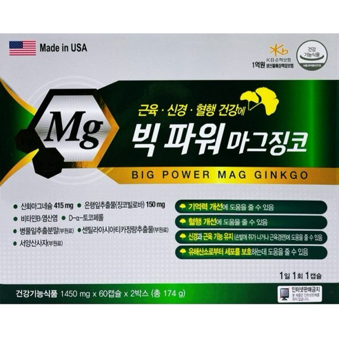 빅파워 마그징코 60캡슐x2(4개월) / 은행잎추출물 산화마그네슘 비타민 기억력 혈행