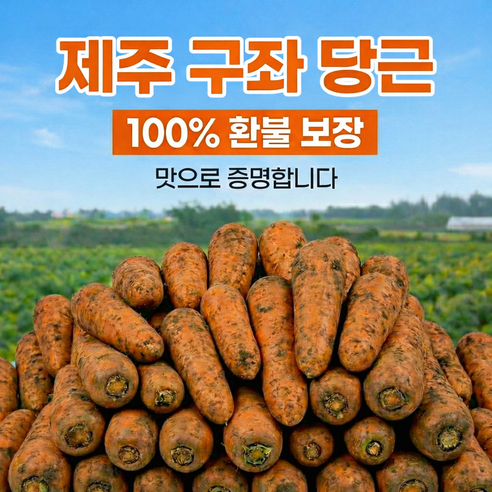 [초특가할인]마진없는 산지직송 제주구좌 흙당근