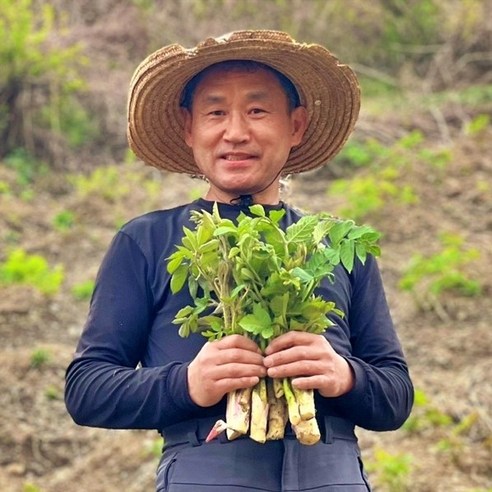 국내산 유명 산지 땅두릅 제철 산나물 봄나물, 1kg, 1개
