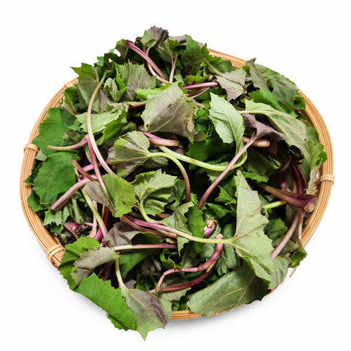 국내산 노지 야생초 머위나물, 1kg, 1개
