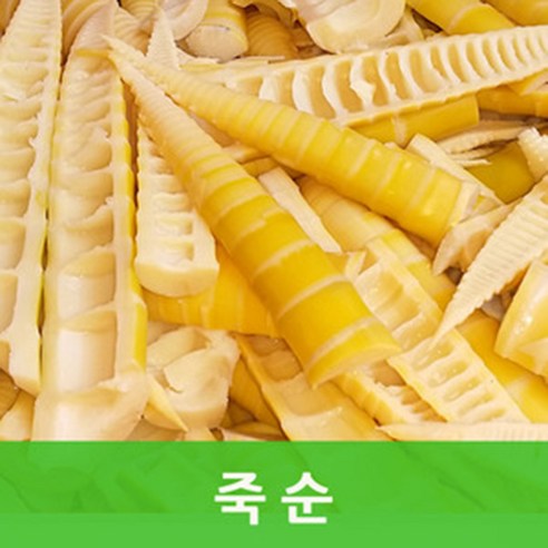 국내산 삶은죽순4kg  전라도분죽 싱싱지오
