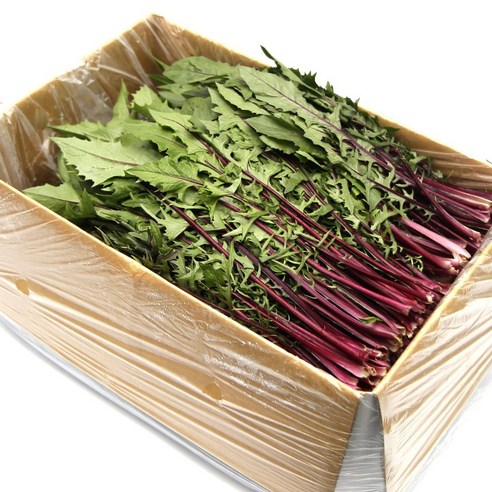 국내산 특품 적치커리 반박스 1kg 쌈채소 모듬쌈 가락시장 당일새벽경매, 1kg, 1개