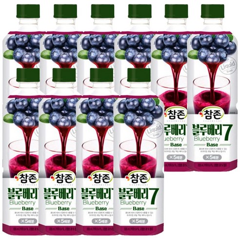 참존 블루베리7 베이스 835ml