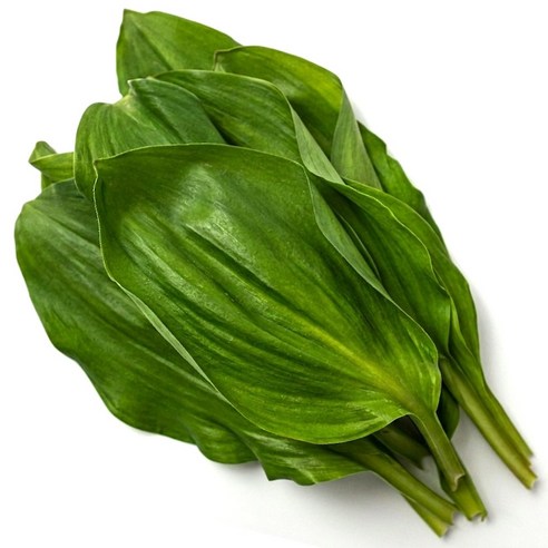 연하고 부드러운 울릉도 산마늘 명이나물 생채, 2kg, 1개