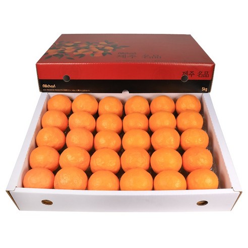 삼다몰 제주 카라향(귤로향) 3kg  5kg 10kg