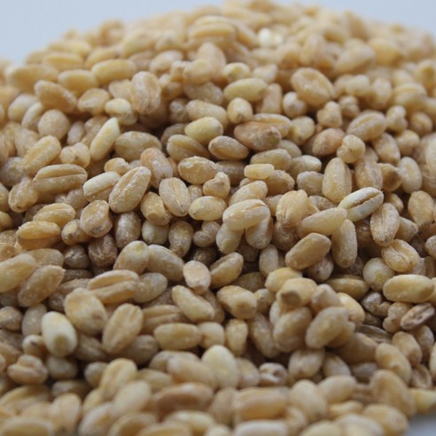 2025년 국산 밀쌀 우리밀 쌀아지매, 1개, 1kg