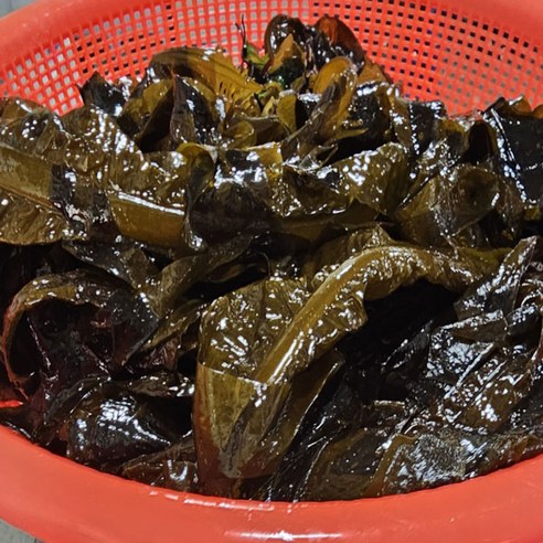 거제 돌미역 생미역 물미역 1kg, 1개, 1kg
