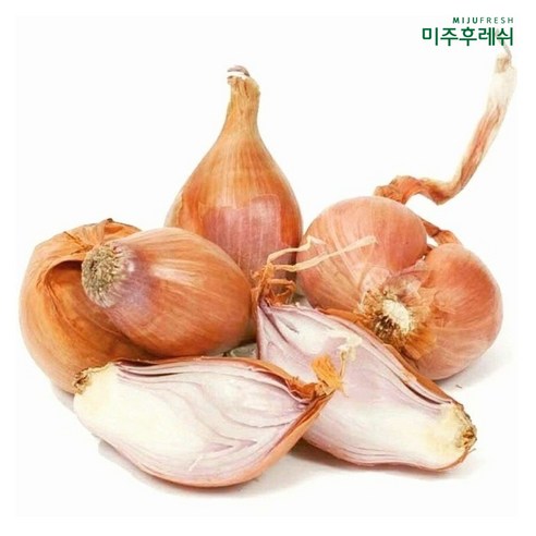 샬롯 생채소 요리용 향채소, 1개, 1kg(라운드)