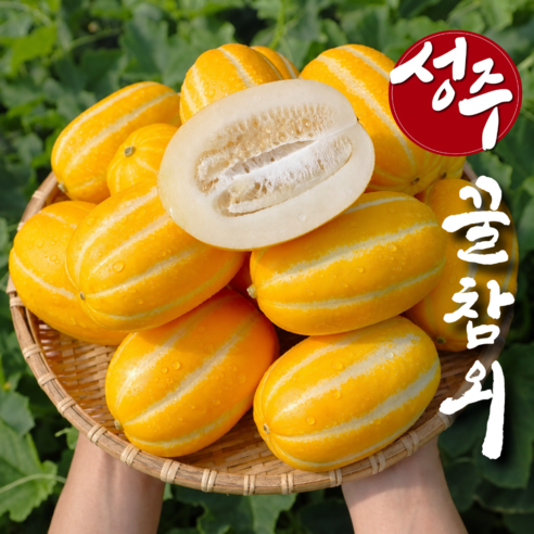 [한정수량] 초특가 성주 참외 가정용 랜덤과