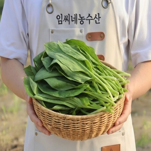 [4월 1일 발송] 대명이 1kg 강원도 홍천 명이나물 산마늘 울릉도종