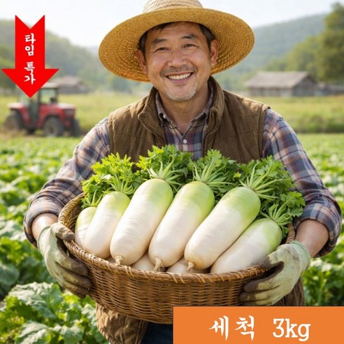 [타임 특가 15%] 산지직송 정품 제주산 세척 월동무, 1박스, 3kg 제주 세척 월동무