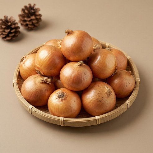 2026 만생종 햇양파 국내산 산지직송 아삭 단단 신선 양파 1~10kg