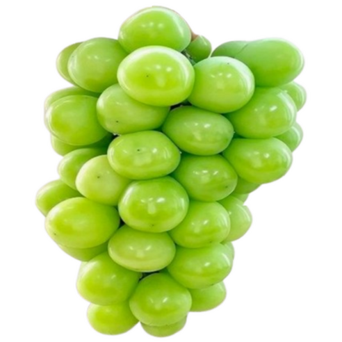 ( 당도 선별 ) 경북 김천 프리미엄 고당도 선물용 특품 샤인머스켓, 1개, 4kg ( 4 - 5수 )