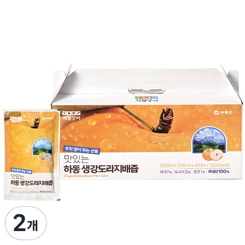 제철장터 맛있는 하동 생강도라지배즙 30p, 2개, 3L