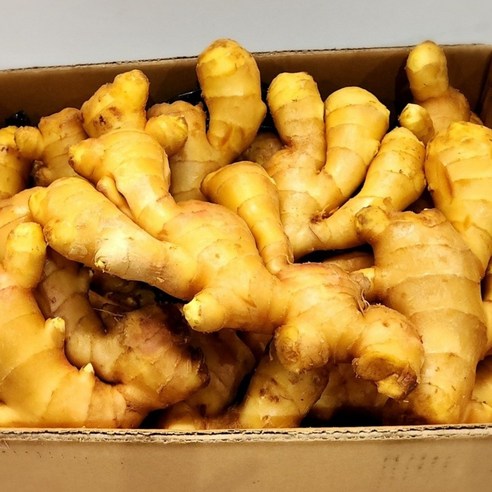 수입 생강 명강 중국산 생강 1kg, 1개
