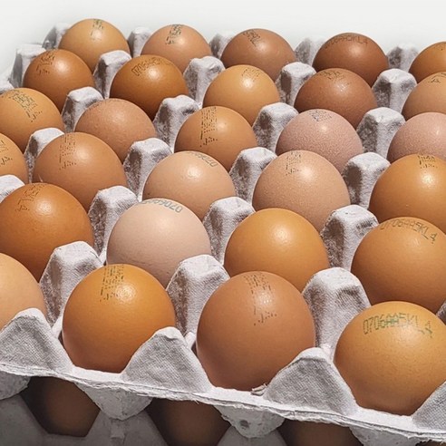 [농장직송] 에그트리 항생제 없는 안심 햇달걀 중란(44~51g small)