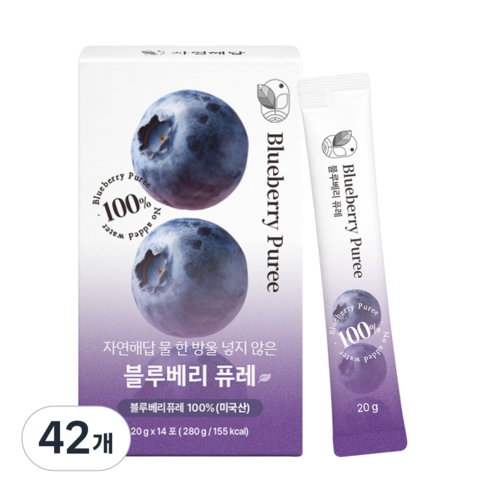자연해답 물 한 방울 넣지 않은 블루베리 퓨레, 42개, 20g
