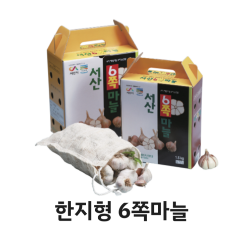 마늘 심기와 관리 요령