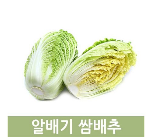 쌈배추 신선 보관 방법