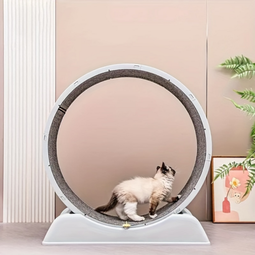 PEBBI 고양이 저소음 실내 운동 채력 강화 캣휠, 1개, 그레이