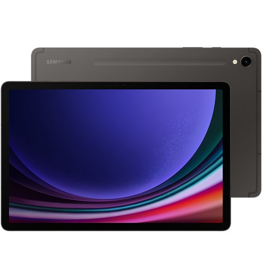 삼성전자 갤럭시탭 S9, 그라파이트, 128GB, WiFi