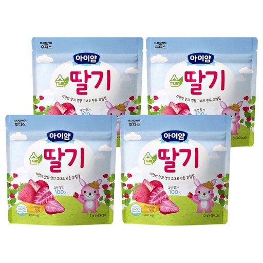 아이얌 과일칩