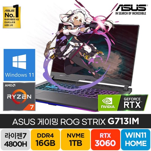ASUS ROG STRIX G17 G713IM GTX3060 17인치 고성능 영상편집 배그 롤 게이밍 노트북, G713IM, WIN11 Home, 16GB, 1TB, AMD, 그레이