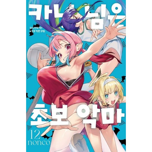 카난 님은 초보 악마 12권 만화책
