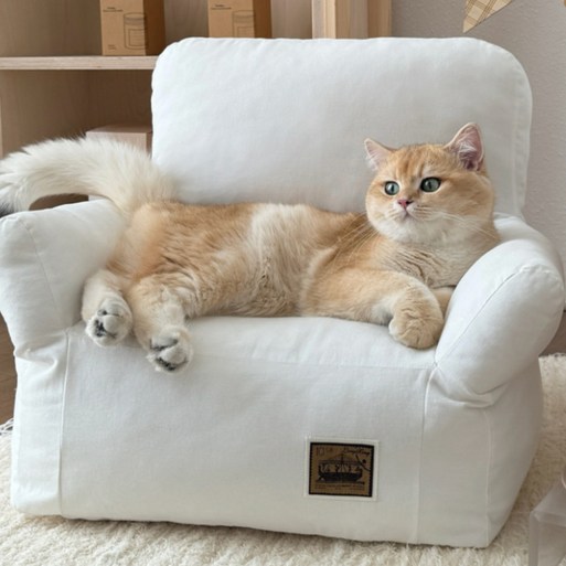 데일리테일 펫소파 강아지방석 고양이 쿠션, 1개, 밀크화이트