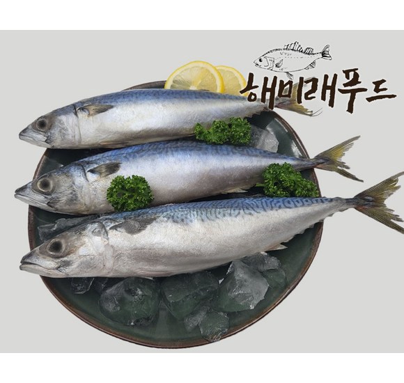 냉동고등어 완벽 가이드: 신선함과 편리함을 모두 잡는 현명한 선택!