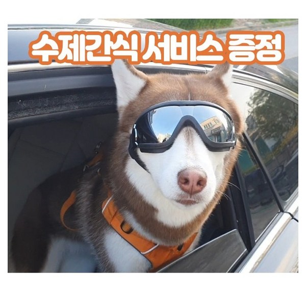 ltdo란 무엇일까요? 완벽 가이드: 자주 묻는 질문과 문제 해결