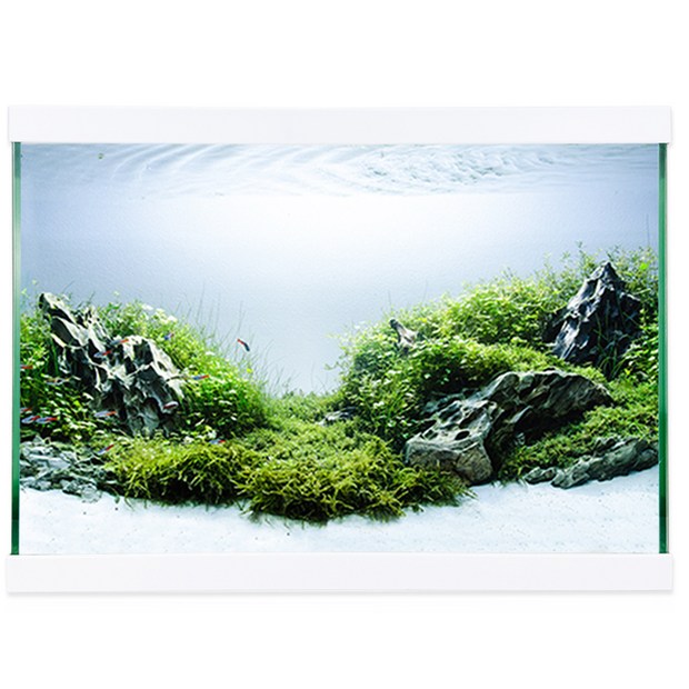 3726841994730211-fbf5d328-bfab-4cc3-a4e2-d9472e2256c8.jpg