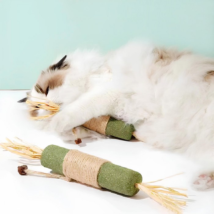 고냥냥 대왕 캣닢 마따따비 고양이 장난감, 3개, 초록