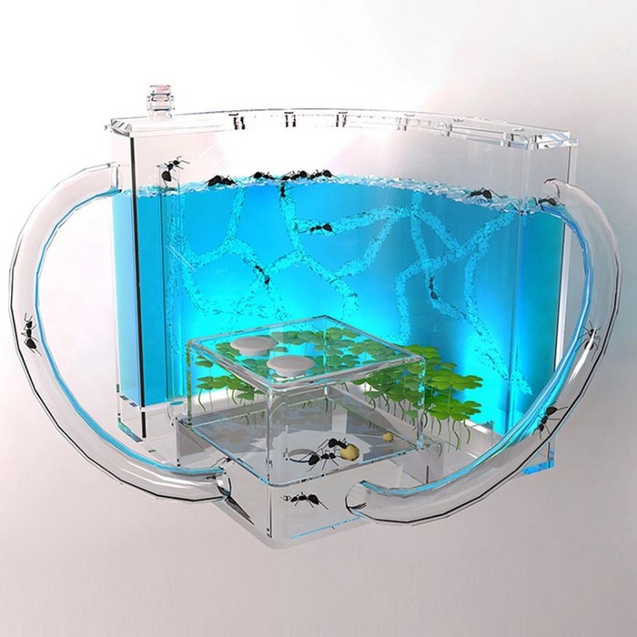 스트림N LED 개미집 여왕 개미 키우기 사육장 하우스 만들기 stream1122879001EA, 개미집관찰led형