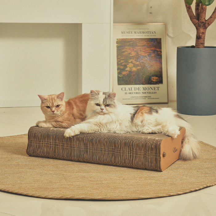 스타캣휠 캣츠루틴 고양이 평판형 스크래쳐 라운지 스크래칭 보드 360, 혼합색상, 1개