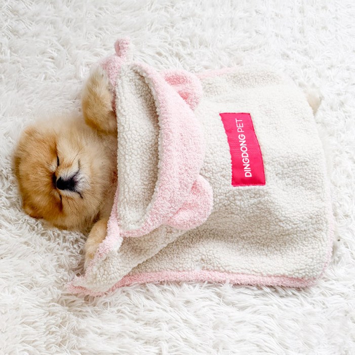 딩동펫 강아지 곰돌이 망토 담요