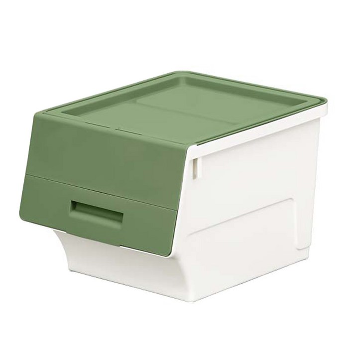 리빙앤트리 펠리컨박스 수납함 대형중형소형, 그린, 1개