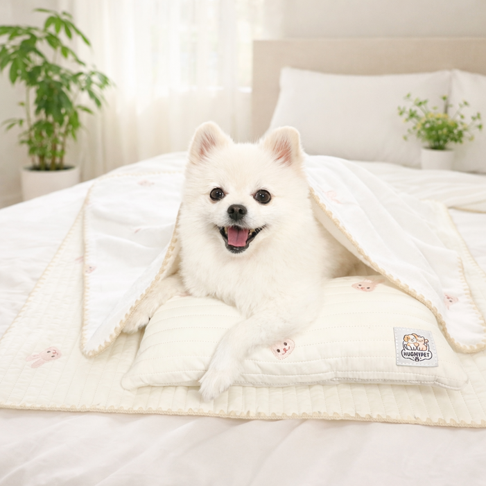 허그마이펫 반려동물 토끼자수 낮잠 이불세트 3종 이불베개패드, 크림, 1세트