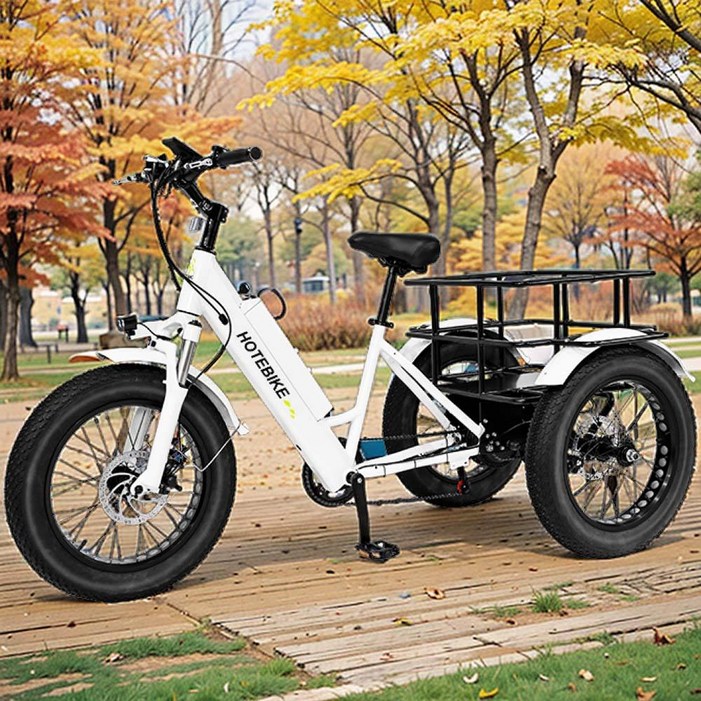 HOTEBIKE 750W 고급형 전동 전기 화물 자전거 3륜 3바퀴 전기 세발자전거 배달서비스