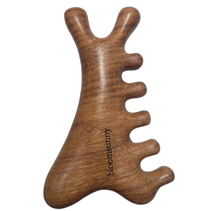 블룸써니 프리미엄 원목 괄사 두피 얼굴 마사지기