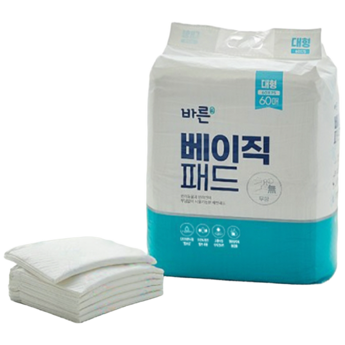 바른 베이직패드