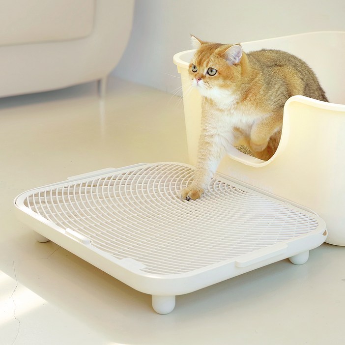 소심한호랑이 고양이 심쿵발판, 아이보리, 1개 소심한호랑이 고양이 심쿵발판, 아이보리, 1개
