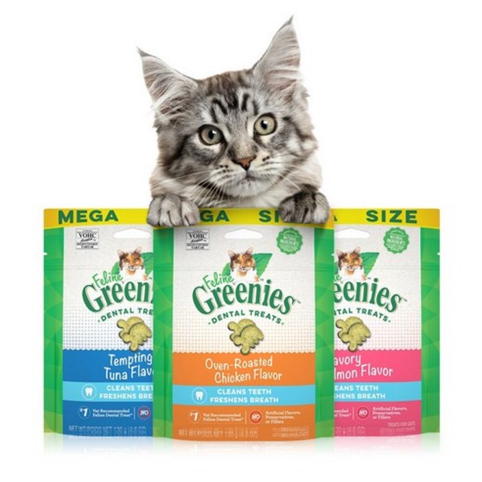 필라인 그리니즈 덴탈트릿, 혼합맛닭고기연어참치, 130g, 2개